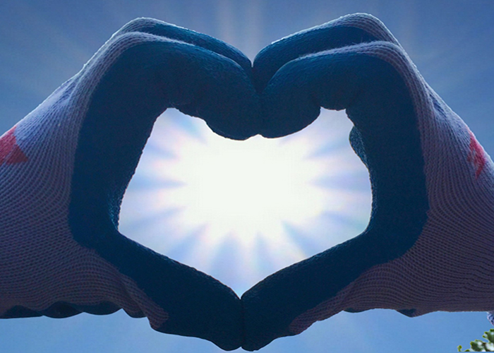 volunteer-1904498_1280